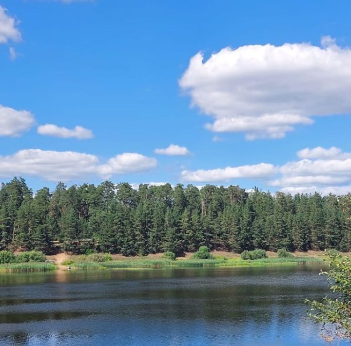 земля р-н Калининский д Красново Никулинское с/пос, 14 фото 8