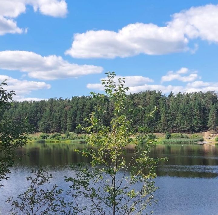 земля р-н Калининский д Красново Никулинское с/пос, 14 фото 9