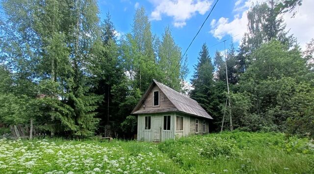 Вырица городской поселок фото