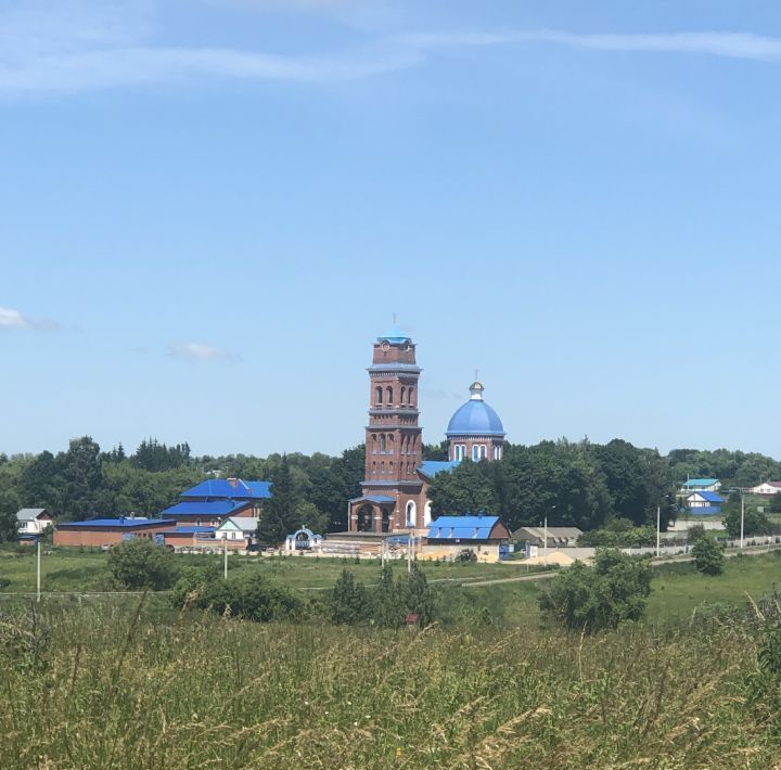 земля р-н Богородицкий с Папоротка Бахметьевское муниципальное образование фото 15