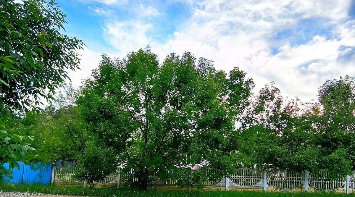 земля р-н Орловский д Овсянниково ул Садовая фото 1