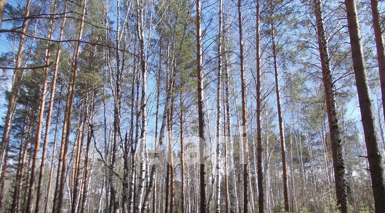 земля р-н Верхнесалдинский п Ива ул Центральная фото 1