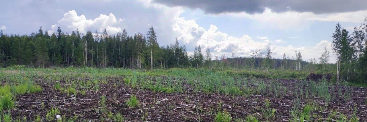 земля р-н Всеволожский снт тер.У Лукоморья Агалатовское с/пос, Парнас, 10 фото 1