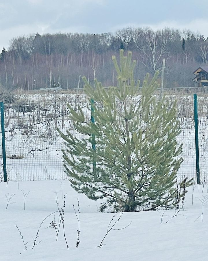 земля направление Рижское (северо-запад) ш Новорижское 94 км, 46К-9191, Волоколамск фото 28