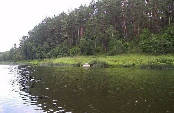 земля р-н Угранский д Желанья Угра фото 9