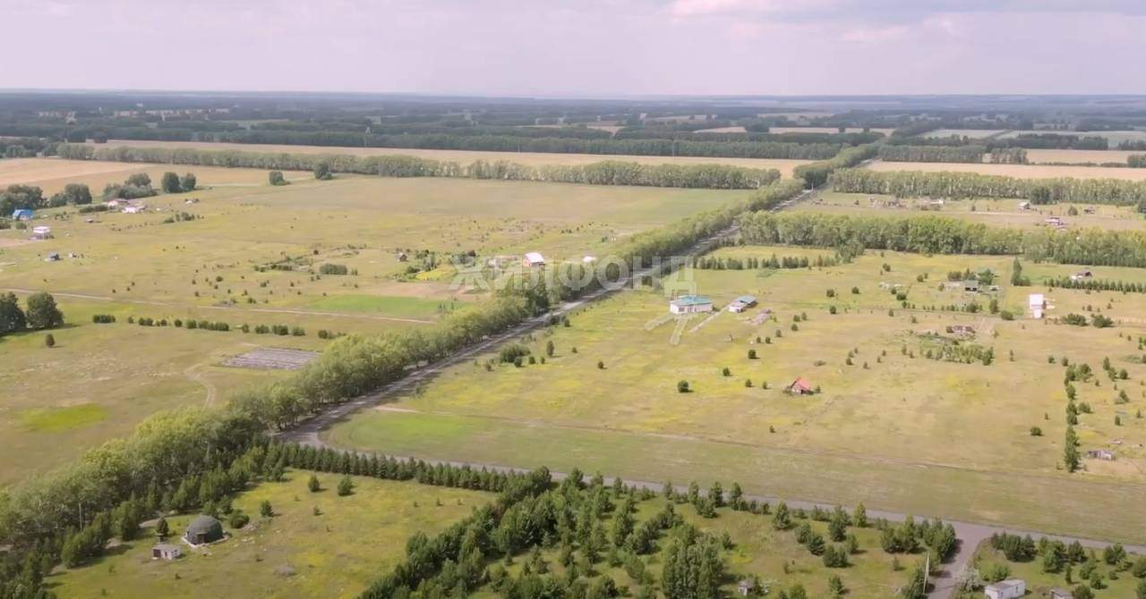 земля р-н Ордынский рп Ордынское Ивушка НСТ территория фото 1