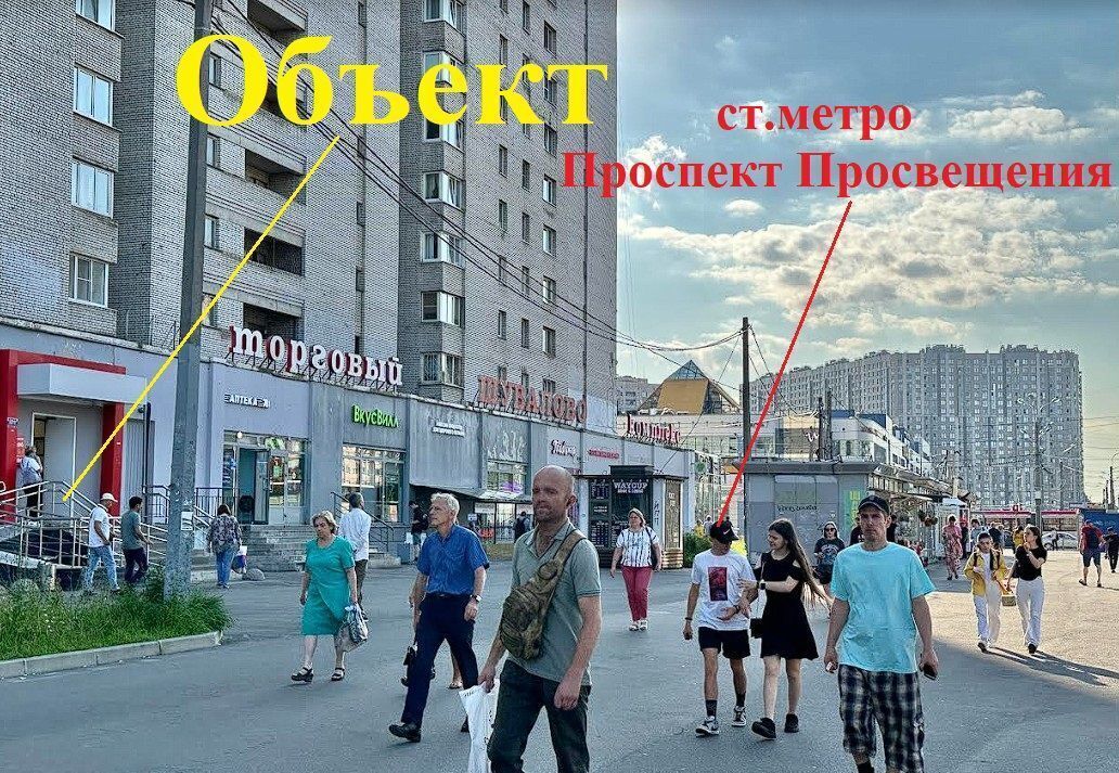 торговое помещение г Санкт-Петербург метро Проспект Просвещения пр-кт Просвещения 21/139 фото 3