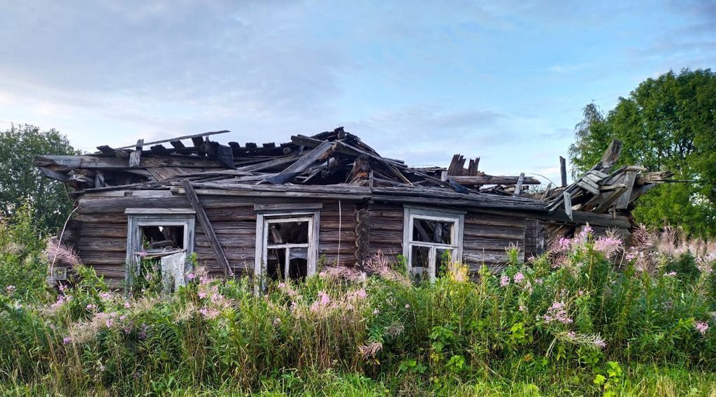 земля р-н Шекснинский д Глядково с пос, Никольское фото 3