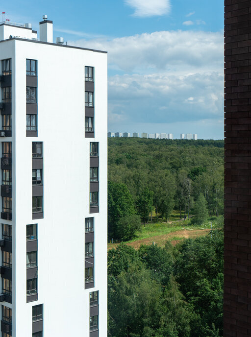 квартира г Москва п Сосенское жилой район «Скандинавия» метро Коммунарка ТиНАО Скандинавский бульвар, 3к 3 фото 52