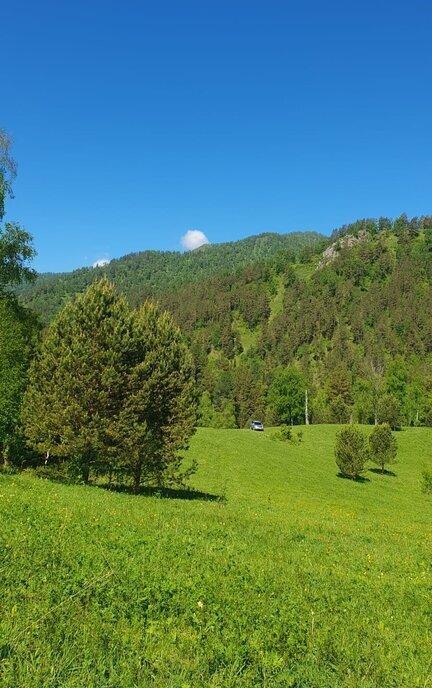 земля р-н Чемальский с Анос ул Заречная фото 9