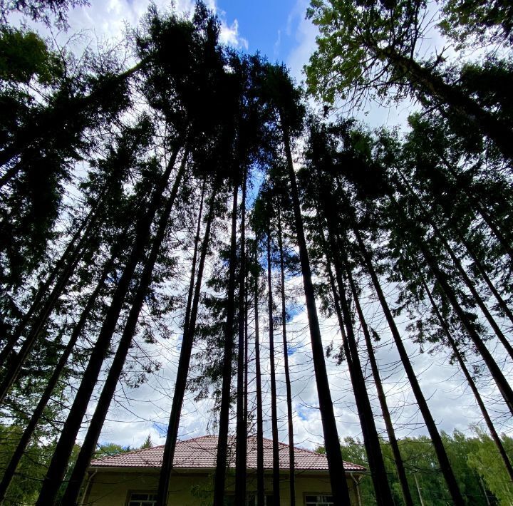 дом г Калуга Деревня Калашников хут., 85 фото 3