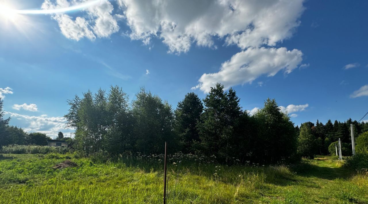 земля городской округ Наро-Фоминский Руть севернее д. Подольное СНТ фото 3