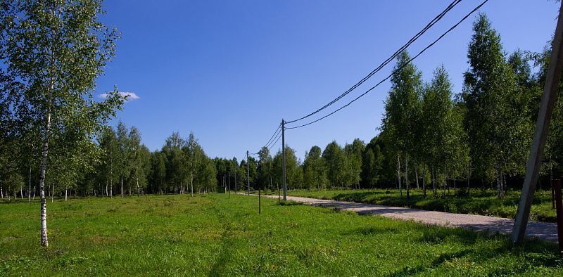 земля р-н Заокский Демидовское муниципальное образование, Любовша кп, 47 фото 7