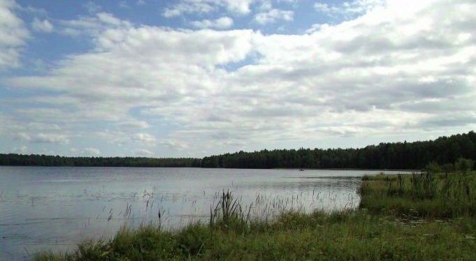 земля р-н Всеволожский Токсовское городское поселение фото 6