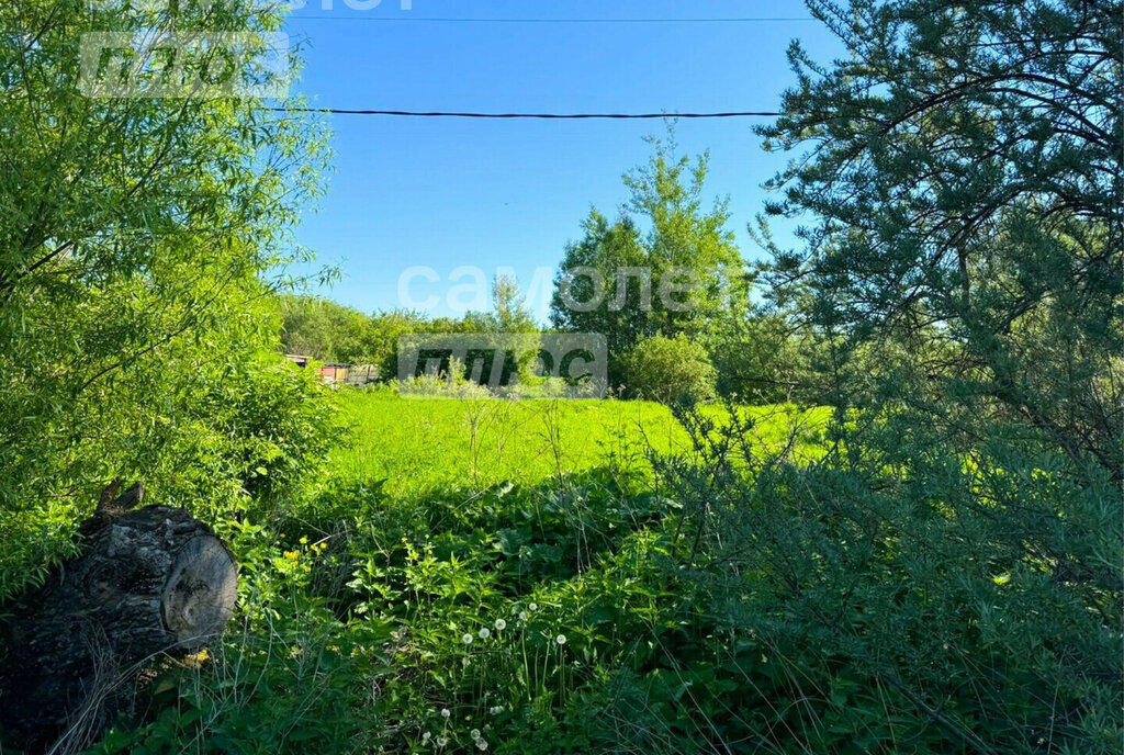 земля городской округ Лотошино д Мастищево фото 3