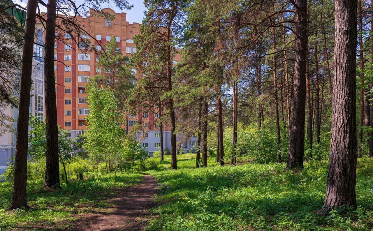 квартира г Новосибирск р-н Советский Нижняя Ельцовка ул Лесосечная 14 фото 27