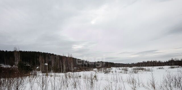 ст Палкино жилрайон фото