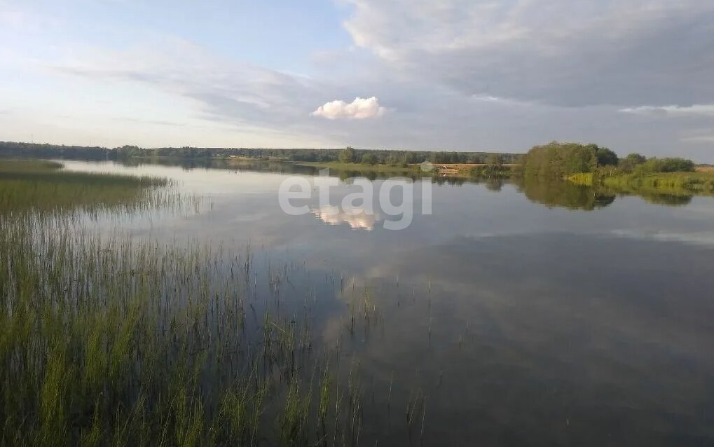 земля городской округ Клин д Голиково фото 6