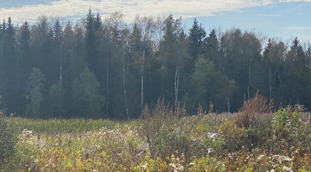 земля Дмитровский городской округ, Ника СНТ фото 3