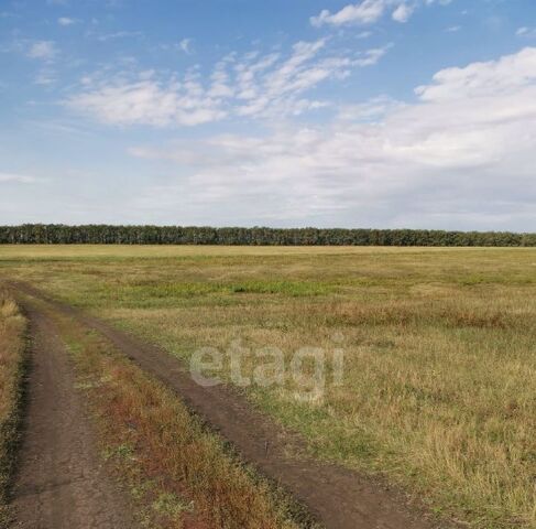 земля сельсовет, Булгаковский фото