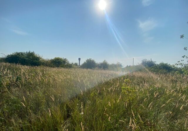 снт Спутник Щетинский сельсовет, Курск фото