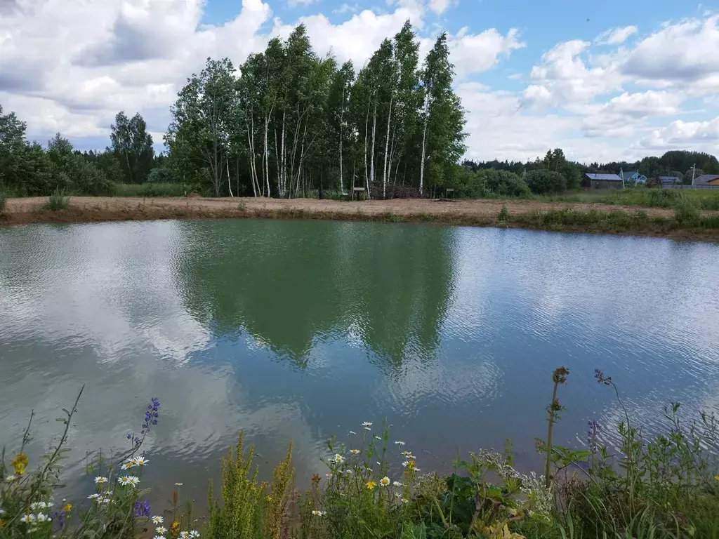 дом городской округ Волоколамский д Комарово территория, 119, Клин фото 10