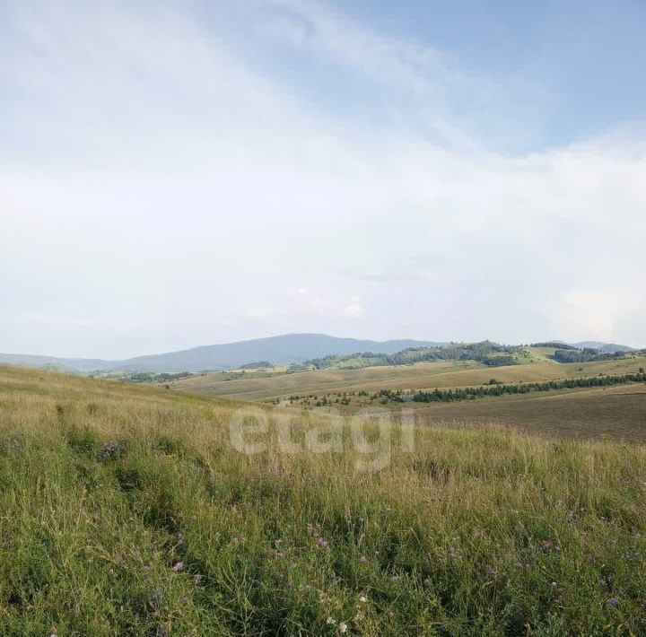 земля г Бийск фото 2