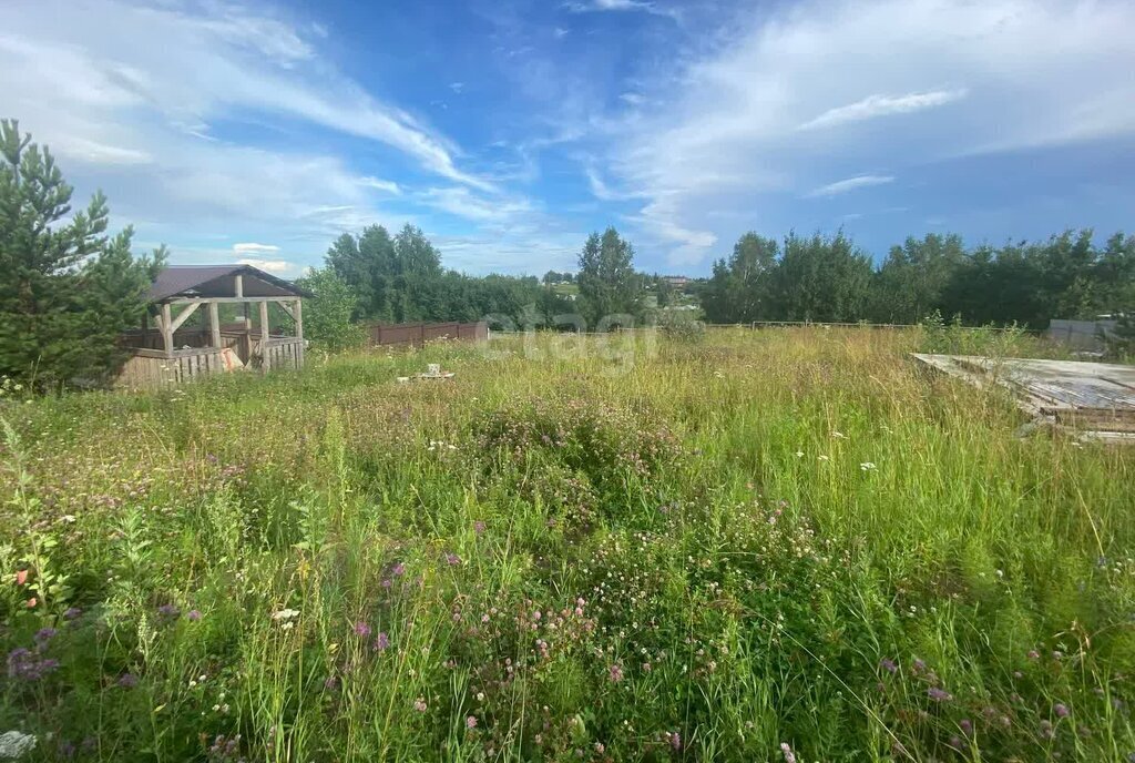 земля р-н Томский с Зоркальцево ул Садовая фото 3