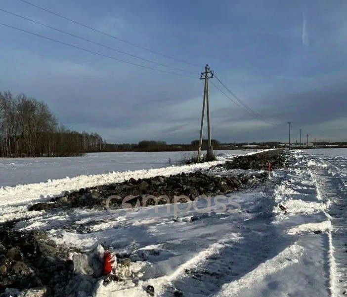 земля р-н Тюменский с Горьковка ул Сибирская фото 7