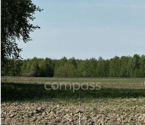 земля р-н Тюменский с Горьковка ул Совхозная Горьковское сельское поселение, Тюмень фото 7