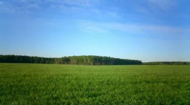 земля Трасса Вологда — Новая Ладога, Самойловское сельское поселение, Пикалево фото