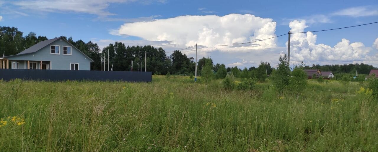 земля городской округ Наро-Фоминский д Сырьево 40 км, г. о. Домодедово, Новокаширское шоссе фото 4