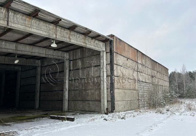 д Шамокша Лодейнопольское городское поселение, 16, Лодейное Поле фото