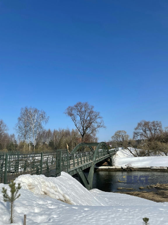 земля городской округ Истра г Снегири РАН СДТ фото 4