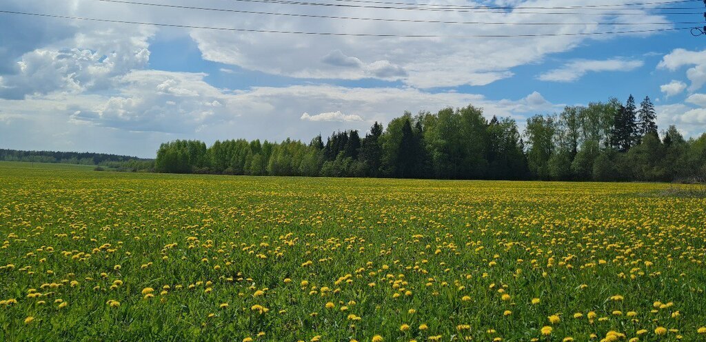 дом городской округ Солнечногорск д Судниково Зеленоград — Крюково, 63 фото 17