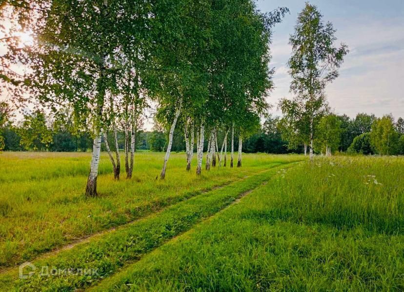 земля р-н Ярославский д Бердицино ул Совхозная фото 4