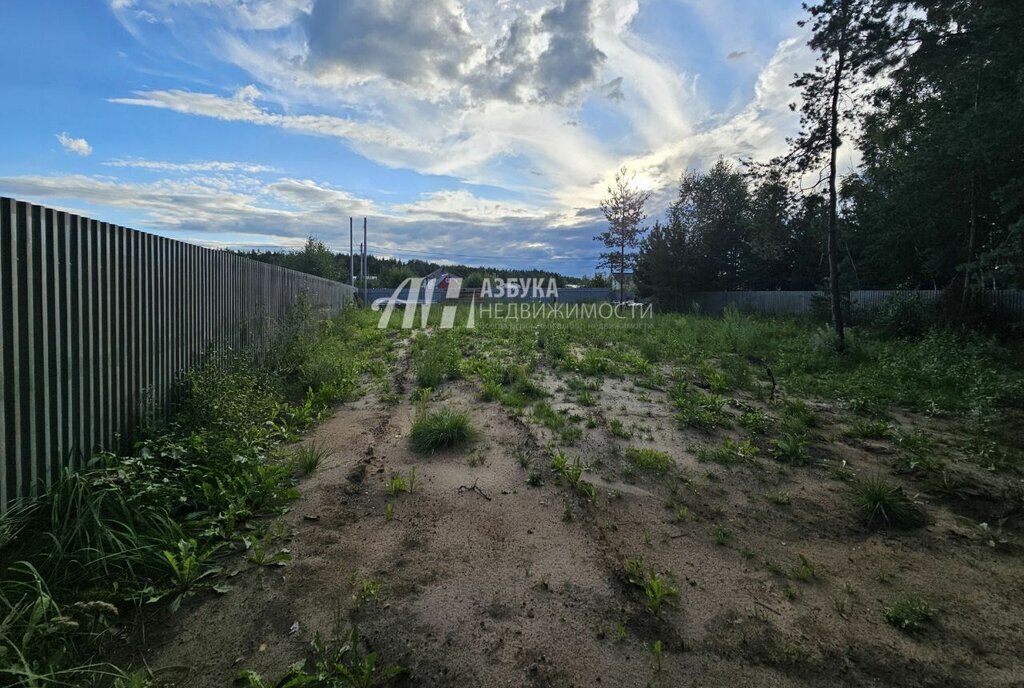 земля г Воскресенск Раменское, рабочий посёлок имени Цюрупы, Тихвинская улица фото 12