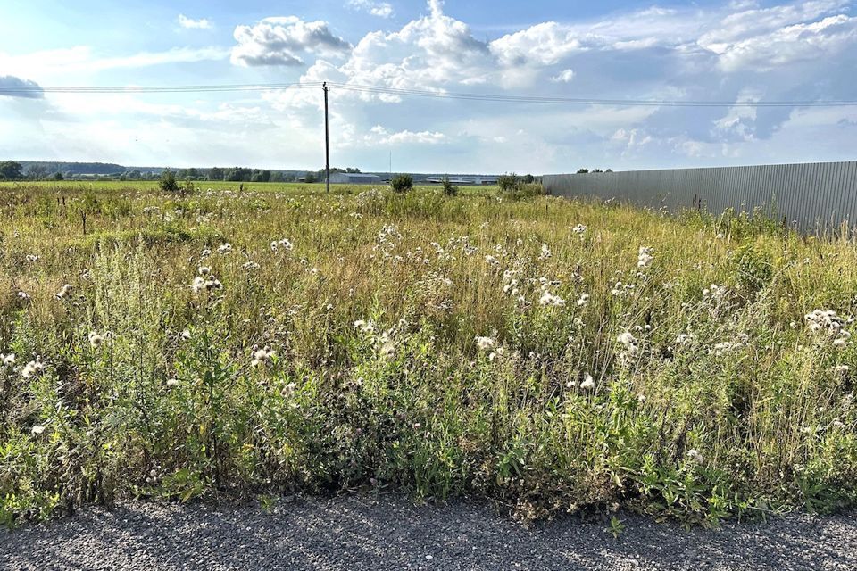 земля городской округ Ступино деревня Кунавино фото 2