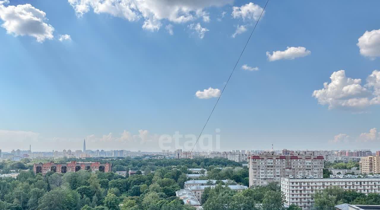 квартира г Санкт-Петербург метро Удельная пр-кт Энгельса 93 фото 15