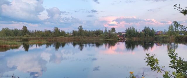 Панковское городское поселение фото