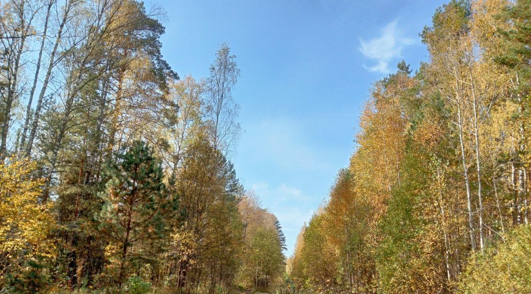 дом р-н Касимовский рп Сынтул ул Юбилейная 2в Сынтульское городское поселение фото 22