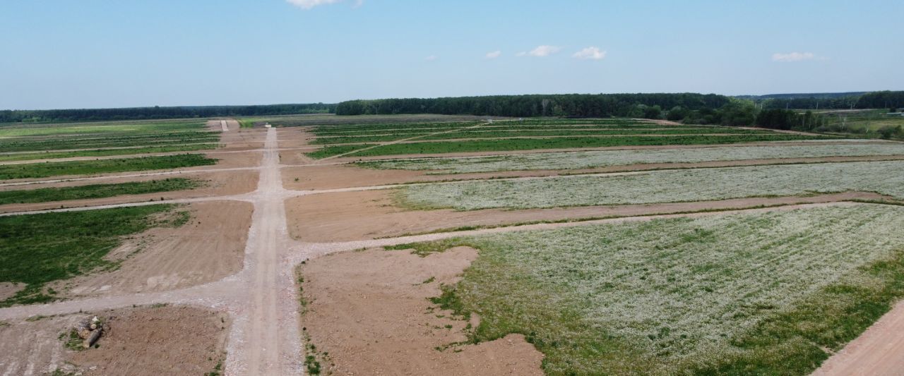 земля городской округ Домодедово с Успенское 874, Барыбино кп фото 9