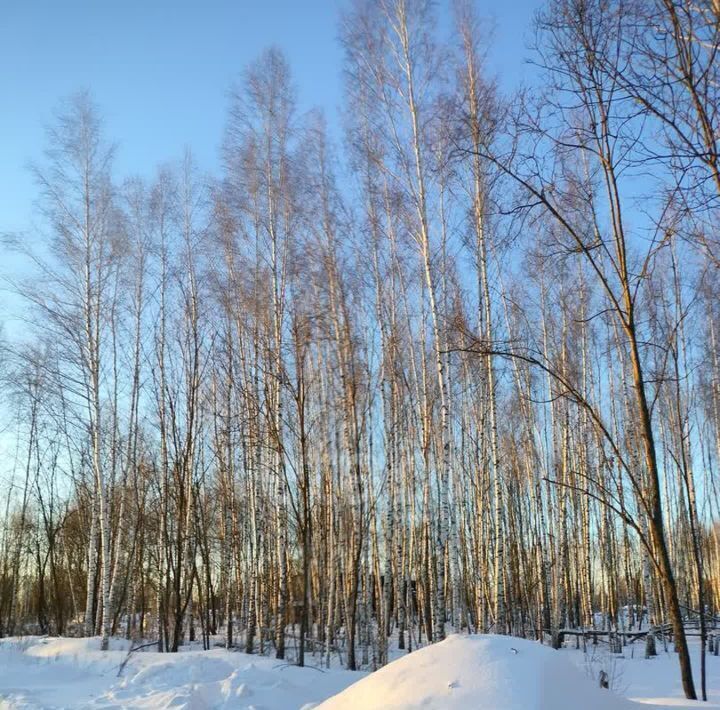 земля р-н Плавский с Частое Пригородное муниципальное образование фото 5