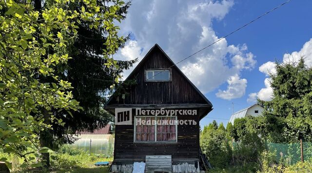 снт Океан Морозовское городское поселение, Улица Дыбенко, 1-я линия фото