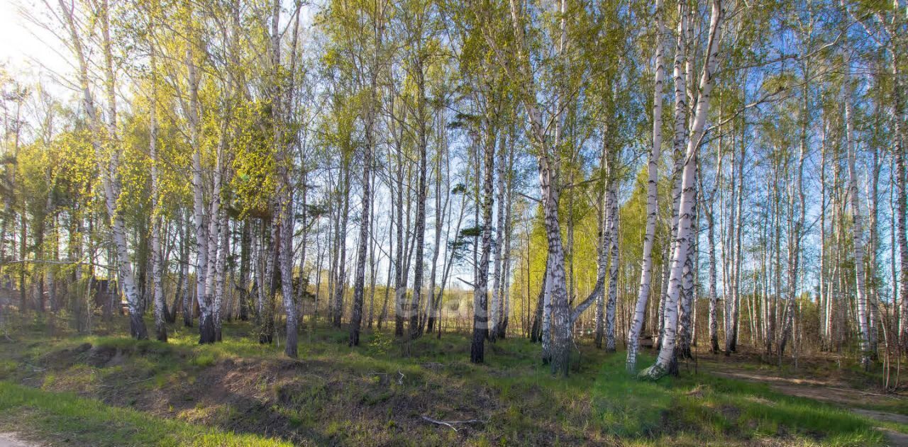 земля р-н Нижнетавдинский снт Геолог-2 фото 5