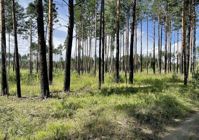 мкр Зеленый Городок, Усолье-Сибирское фото