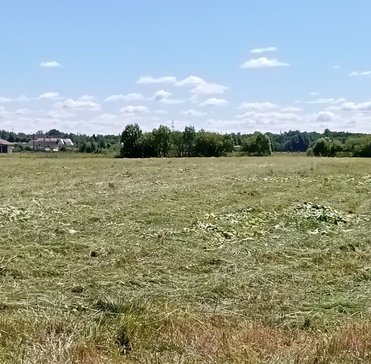 земля р-н Кингисеппский д Большой Луцк Большелуцкое с/пос фото 9