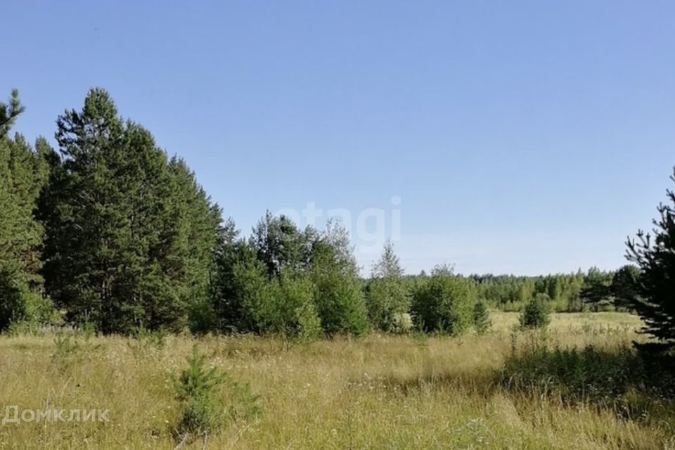 земля г Нижний Тагил р-н Ленинский городской округ Нижний Тагил, микрорайон Пырловка фото 7