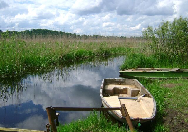 Киевское шоссе, 139 км, Скребловское сельское поселение, Луга фото