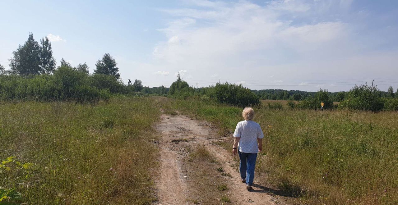 земля р-н Старорусский д Подцепочье Новосельское сельское поселение, Старая Русса фото 1